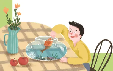 我心爱的小鲤鱼