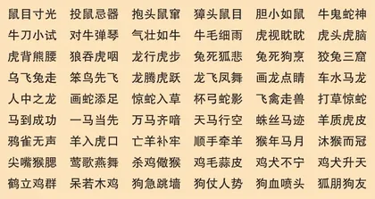 我的动物朋友