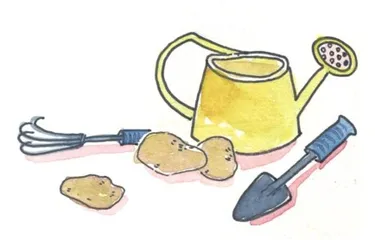 难忘那株小苗