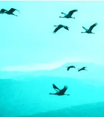 一封锦时少年的来信