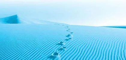 桐花万里路，丹心借一枝