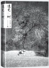 端庄江南