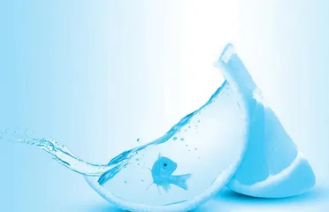 材料是思考的出发点