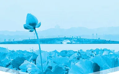 想在“沙漠”等花开