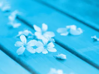 花看半开，琴晓余音
