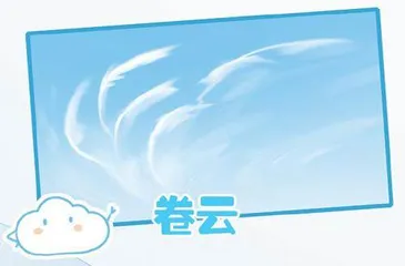 云朵家族的推介会