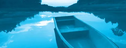 学写观察散文：总借俊眼传出来