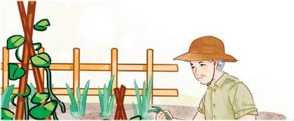 爷爷的“宝贝”