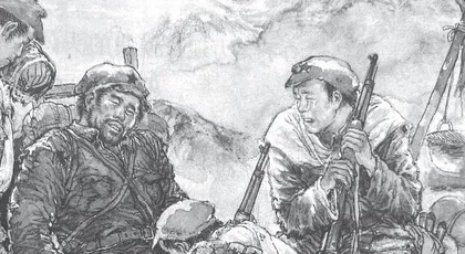 温暖的鱼汤