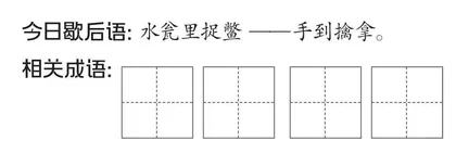 甲鱼的“房子”