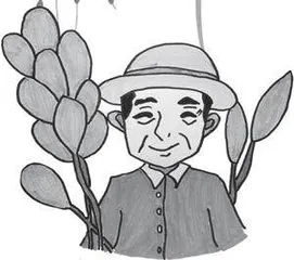 风吹稻浪
