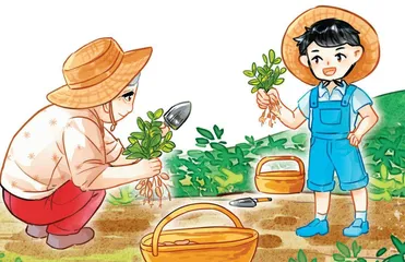 挖花生，乐陶陶