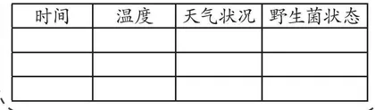 美好的相遇