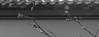 让写作成为一种习惯