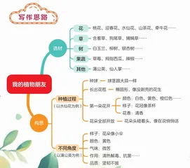 我的植物朋友