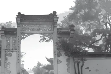 我和瑞安的“深度对话”