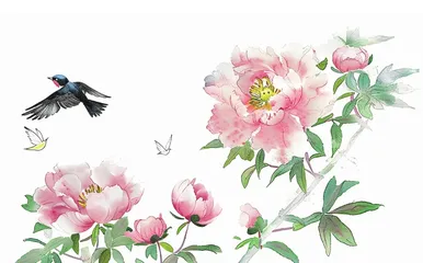 红牡丹