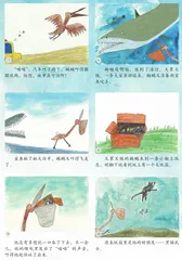 贪吃的鹈鹕1