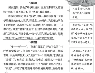 观察“坚果”