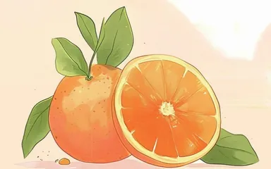 一见倾“橙”