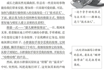 我的拿手好戏—— 撸猫四式