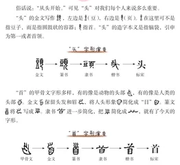 从头开始