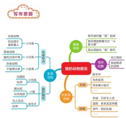 我的动物朋友