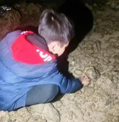 赶海