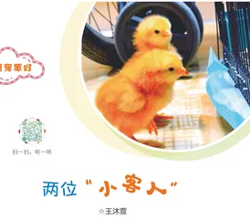 两位“小客人”