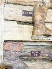神仙的后花园——新疆禾木6