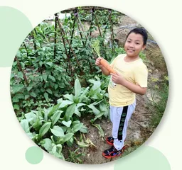 会“拔河”的胡萝卜