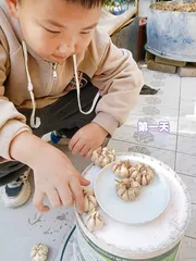 蒜苗成长记
