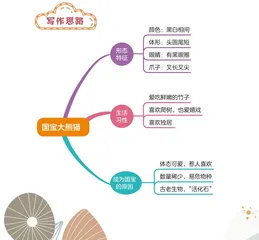 国宝大熊猫