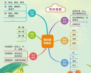 我的植物朋友