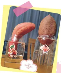 “ 薯兄弟”大变身