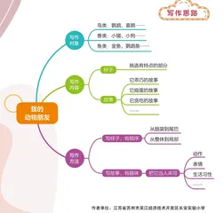 我的动物朋友