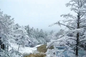 游海螺沟