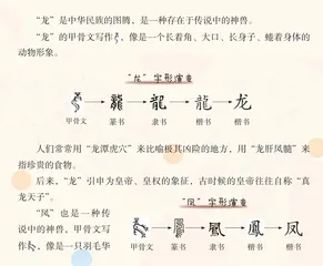 世界上真的有龙吗
