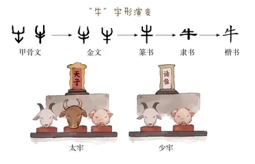 庞然大物——牛1