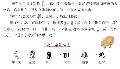 先有鸡，还是先有蛋