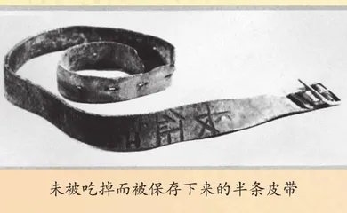 半条未被吃掉的皮带