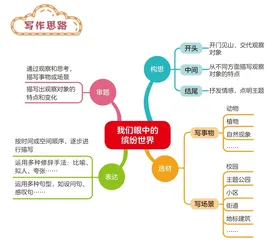 我们眼中的缤纷世界