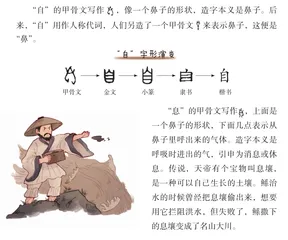 鼻子和耳朵