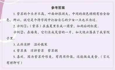紫苏1