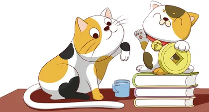 给猫起名