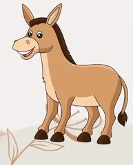 买 驴