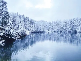 寻雪记