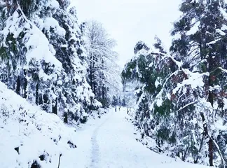 寻雪记1