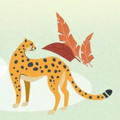 小猎豹的错误