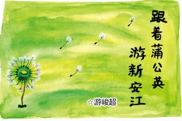 漫画达人